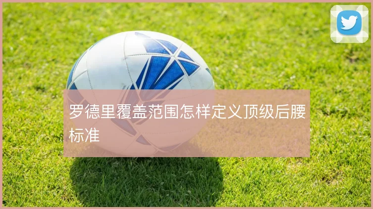 罗德里覆盖范围怎样定义顶级后腰标准