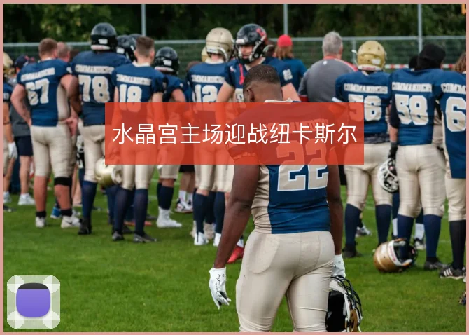 水晶宫主场迎战纽卡斯尔